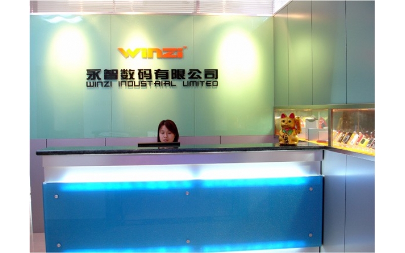 中国组织结构图，深圳市模具厂的最初结构