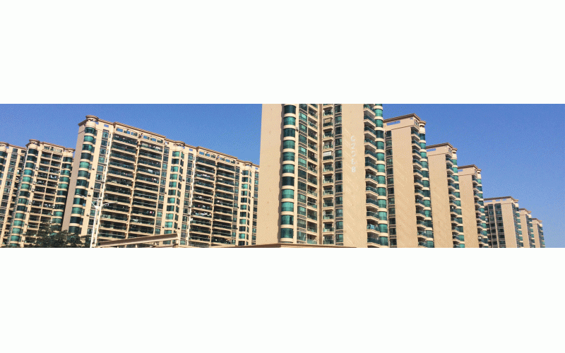 深圳的冬天终于来了，2015