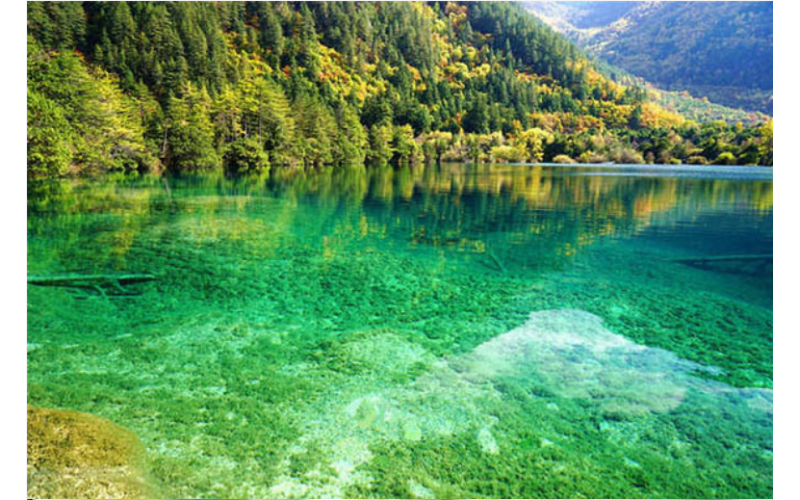 深模中国企业文化- “  和而不同 “