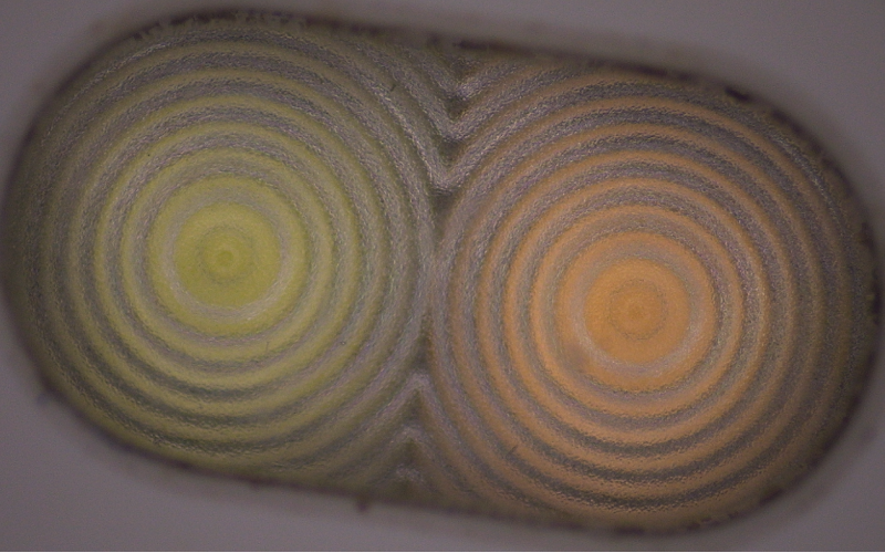 深圳市模具厂-深模-二次元下的手机闪光灯罩